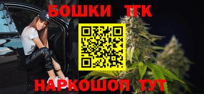 МДПВ Камышлов